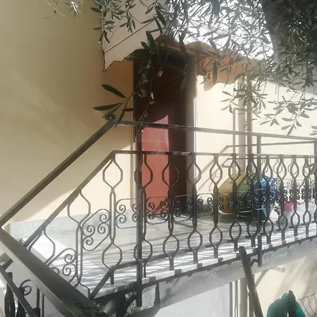 Apartment Freedom House